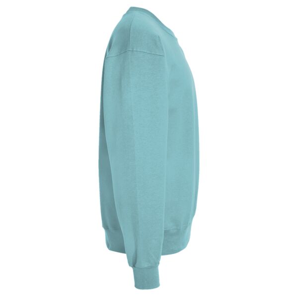 Sponge Fleece Raglan Crewneck Sweatshirt Thumbnail